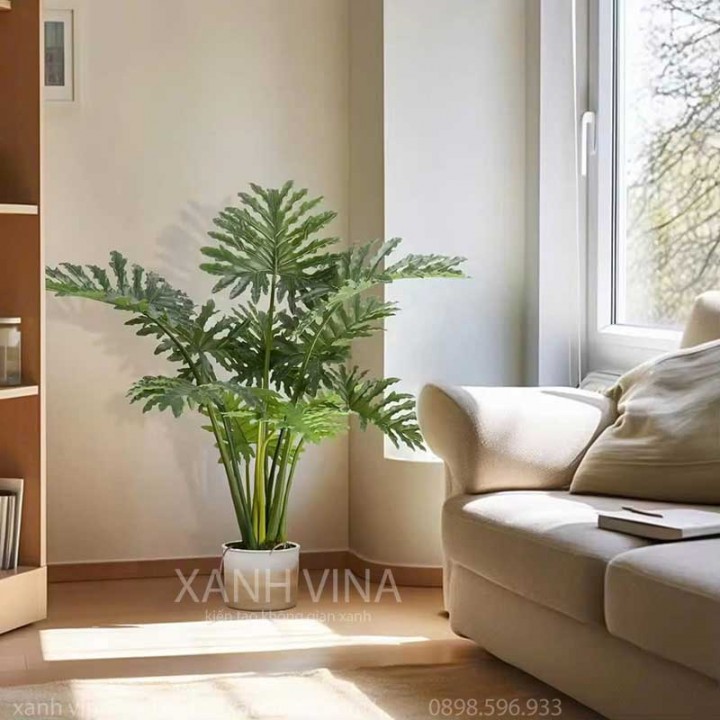 cây trầu bà nam mỹ giả